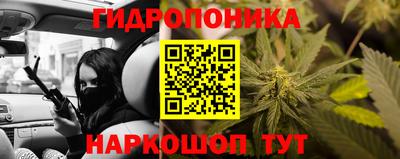 бошки Сланцы