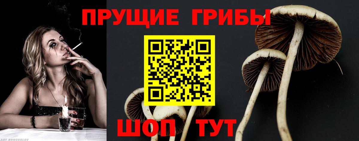 Галлюциногенные грибы прущие грибы  Вход с VPN  Ливны 